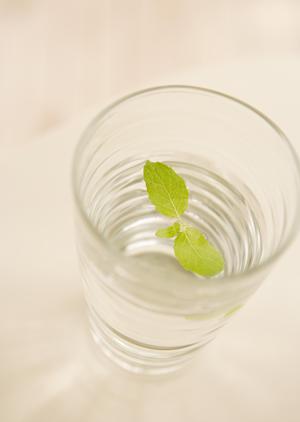 3つのコースを設けた断食宿泊施設です