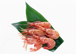 盛岡冷麺と郷土料理を堪能できるぴょんぴょん舎稲荷町本店の魅力と店舗ガイド