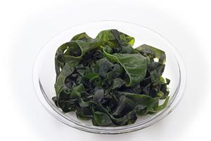 吉祥寺で本格薪窯ナポリピッツァを楽しむ：ラ・ベファーナの魅力と店舗情報