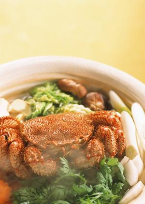 秋葉原のコンカフェ徹底ガイド｜魅力と最新情報を押さえて最高の非日常体験を！